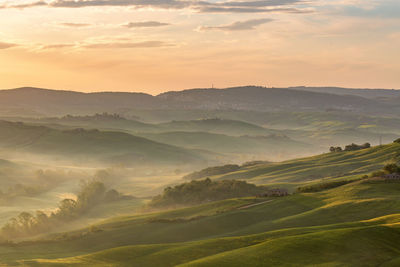 Dawn in a rural rolling landscape with fog