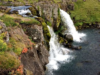 Scenic view of waterfall in forest