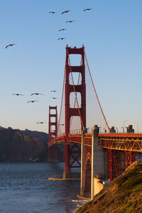 Golden gate suspension bridge over sea against clear sky