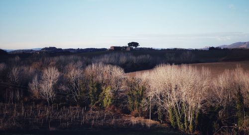 Scenic view of land against clear sky