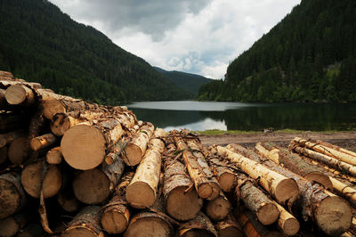 Stack of logs by lake against cloudy sky