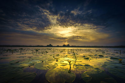 Scenic view of lake against sky during sunset