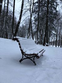 Bare trees on snow covered landscape