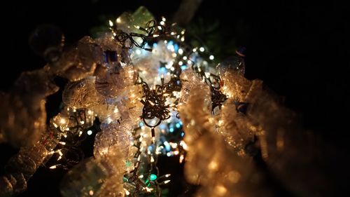Close-up of illuminated christmas tree at night