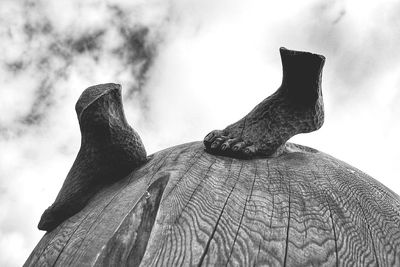 Close-up of giraffe against sky