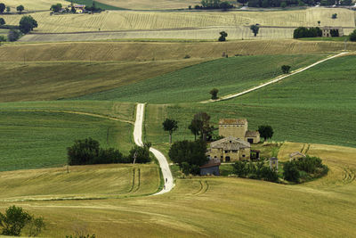 High angle view of agricultural field