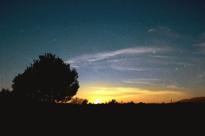 Silhouette trees against sky at night