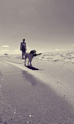 Dog on beach by sea against sky
