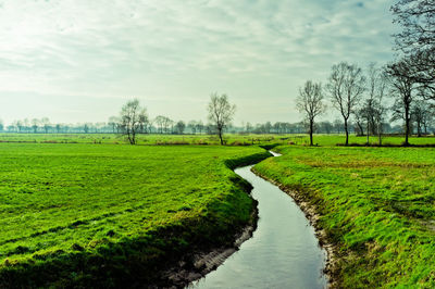 Scenic view of landscape against sky