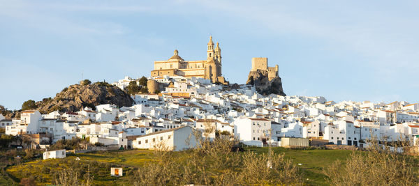 Buildings in city