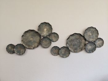 High angle view of shell on white background