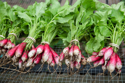 Close-up of vegetables