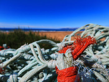 Close-up of rope against clear blue sky