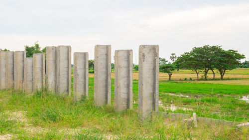 Scenic view of grassy field against sky