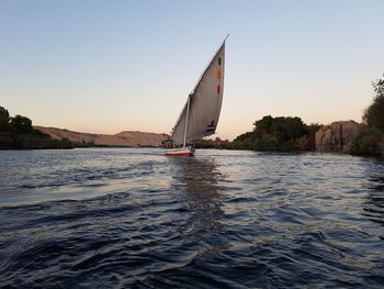 Traditional felucca sailing on nile 