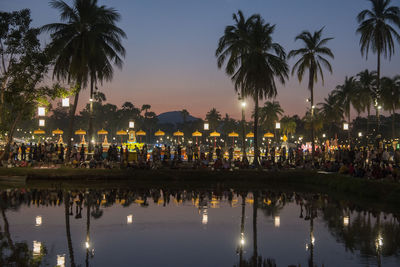 Reflection of palm trees in swimming pool at night