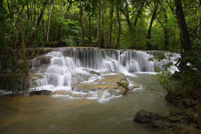 Scenic view of waterfall in forest