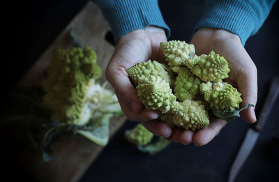 High angle view of hand holding vegetables