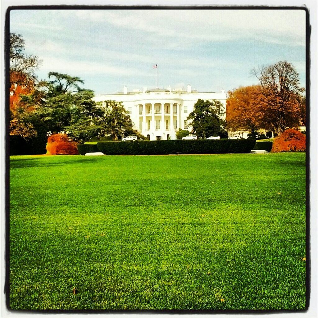 The White House