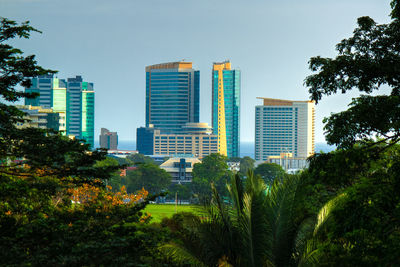 Trees and cityscape against sky