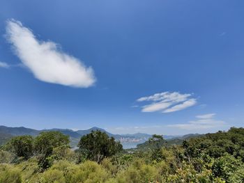 sky