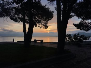 Silhouette trees by sea against sky during sunset