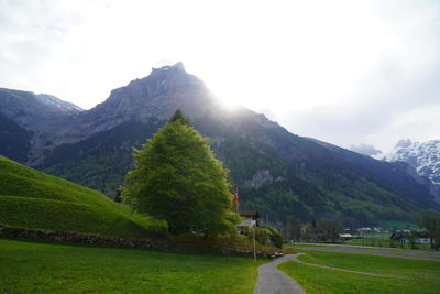 Scenic view of landscape and mountains against sky