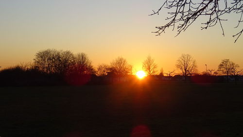 Silhouette trees on field against sky during sunset