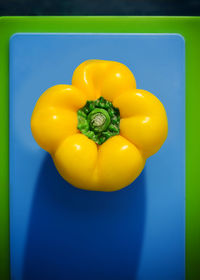 Close-up of multi colored bell peppers