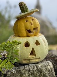 Close-up of pumpkin on leaf