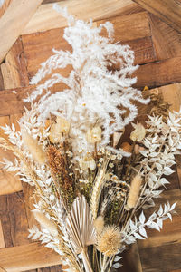 High angle view of flowering plant on table