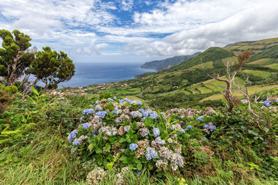 Scenic view of sea against cloudy sky