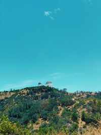 Plants on land against blue sky