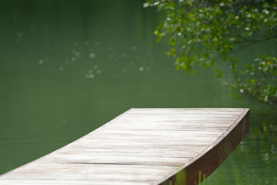 Selective focus on wooden bridge with blurred branches of tree and lake in background.