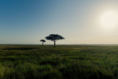 horizon