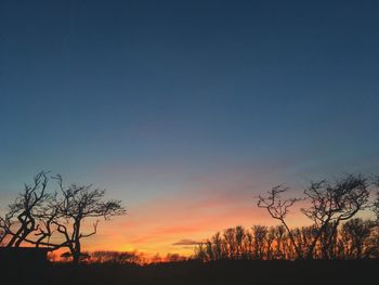 Silhouette trees against sky during sunset