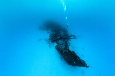 Person scuba diving undersea