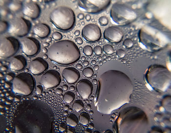 Close-up of water drops on glass