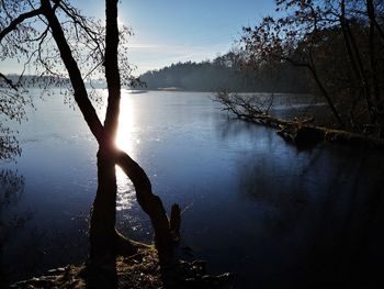 Reflection of silhouette trees in lake against sky