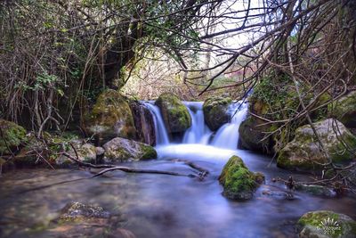 Waterfall in forest