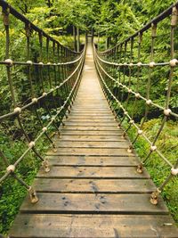 Footbridge in forest