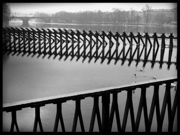 Reflection of trees in water