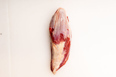 High angle view of leaf on white background