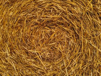 Full frame shot of hay bale