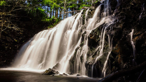 Scenic view of waterfall in forest