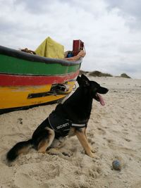 Dog on boat at beach against sky