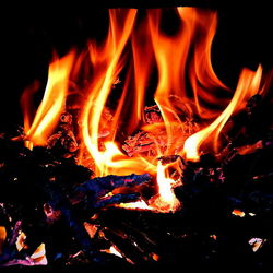 Close-up of bonfire at night