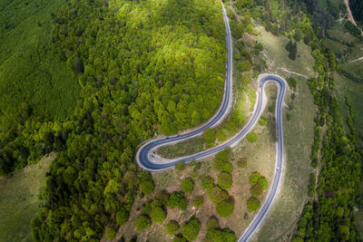 High angle view of winding road amidst trees