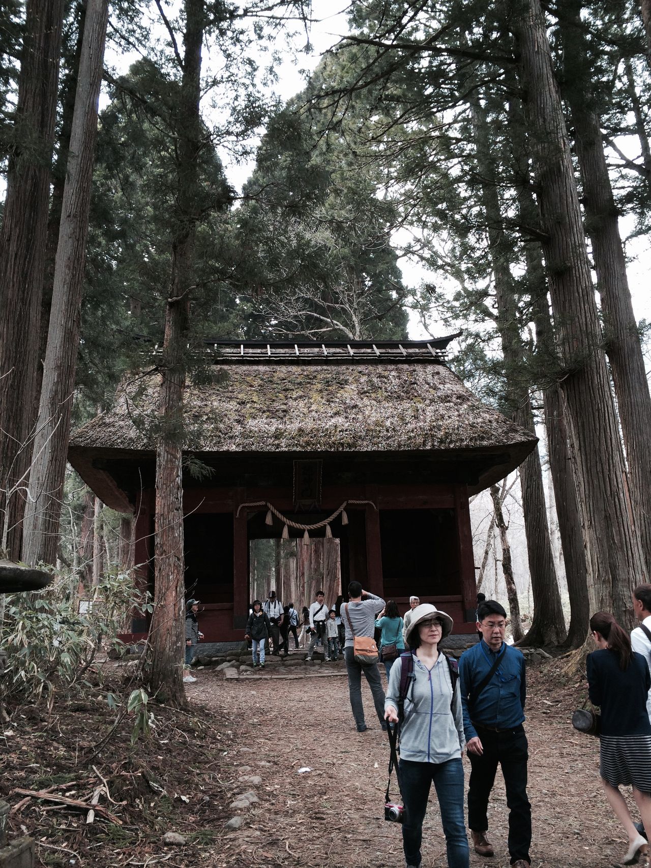 戸隠神社 随神門