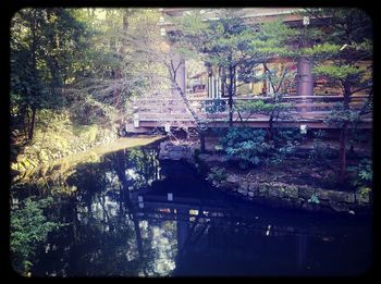 Reflection of trees in river